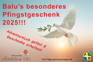 Balu’s besonderes Pfingstgeschenk 2025!!!