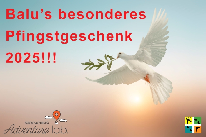 Balu’s besonderes Pfingstgeschenk 2025!!!