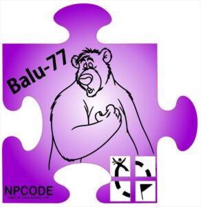 Nano Puzzle